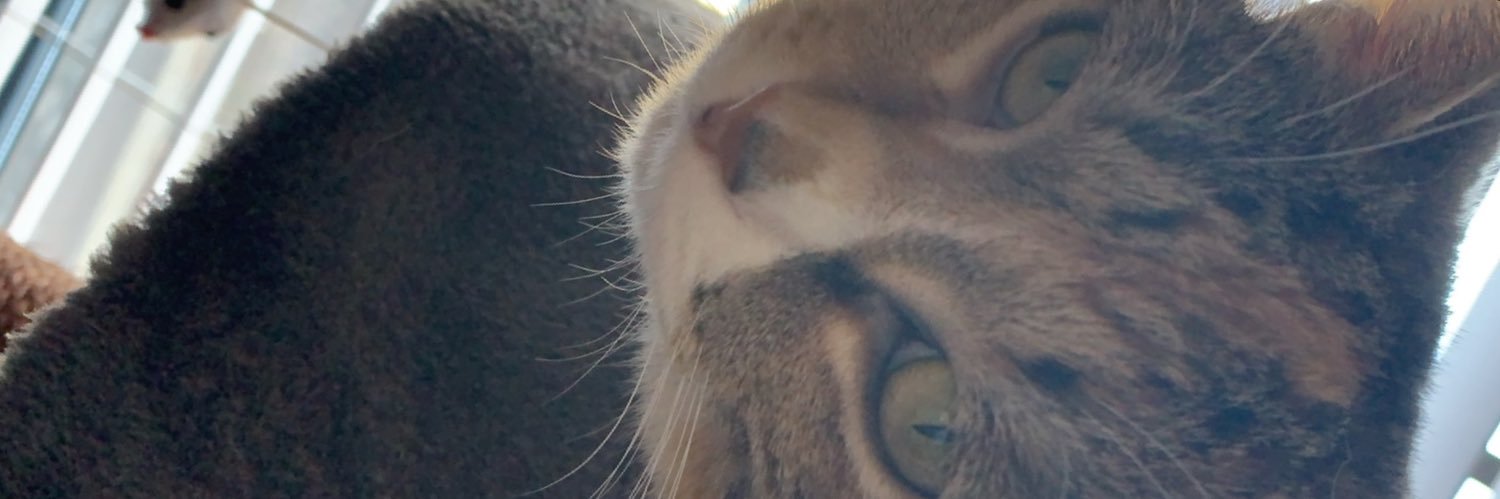 eleetssheelets's profile banner image