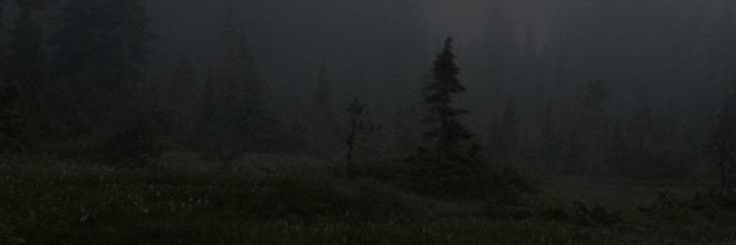 graceee banner