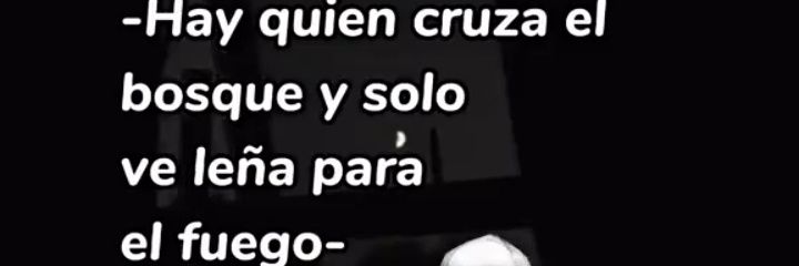 qi_jose's profile banner image
