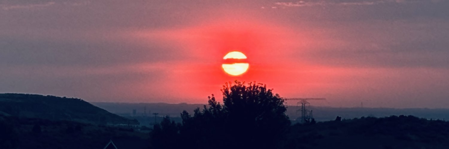 BarbaraPaden's profile banner image