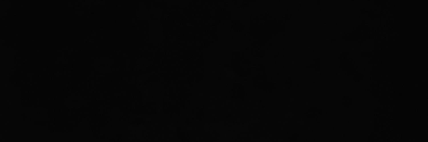 Zethsin's profile banner image