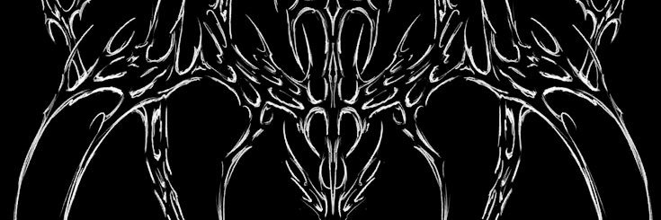 Spider's banner