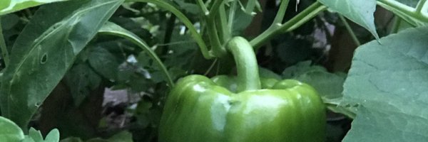 tractor Profile Banner