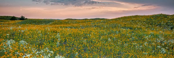 Nebraska Examiner Profile Banner