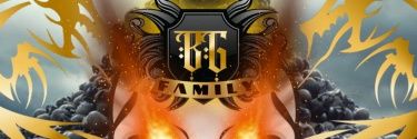 BigStoneBGF1 banner