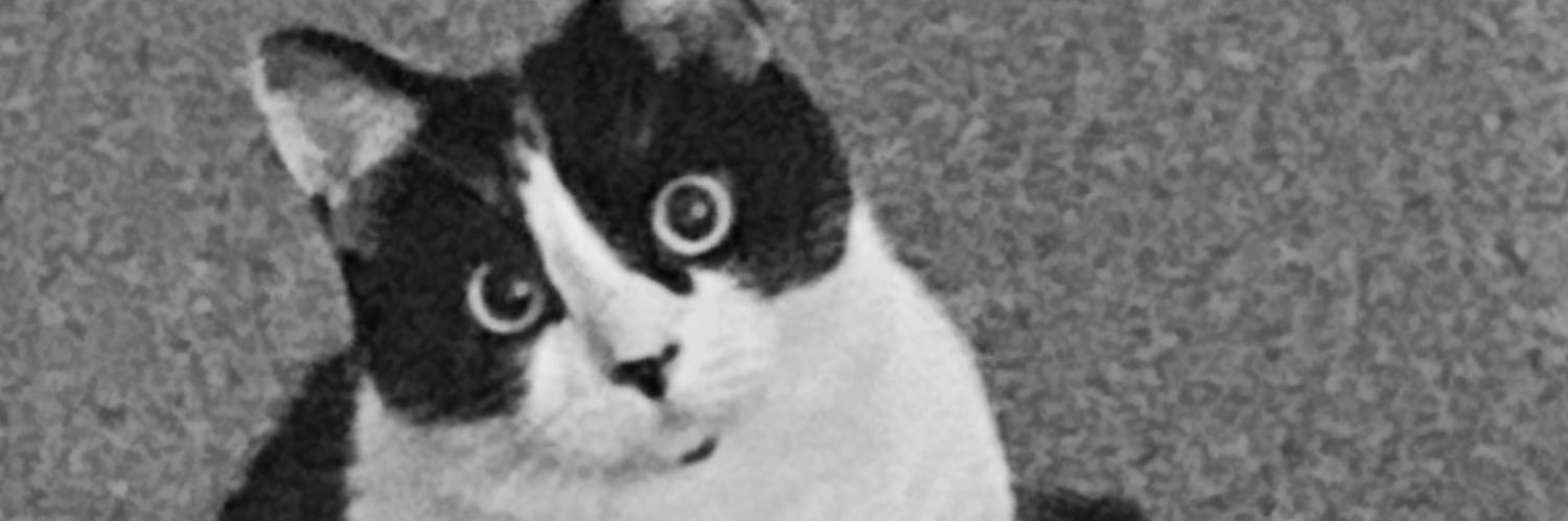 SpiderJayJay's profile banner image