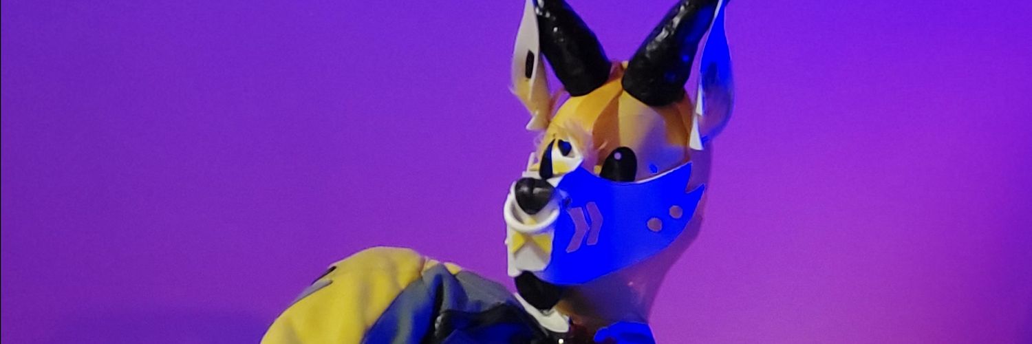 SXSZworld's profile banner image