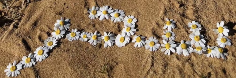 Shr_iii's profile banner image