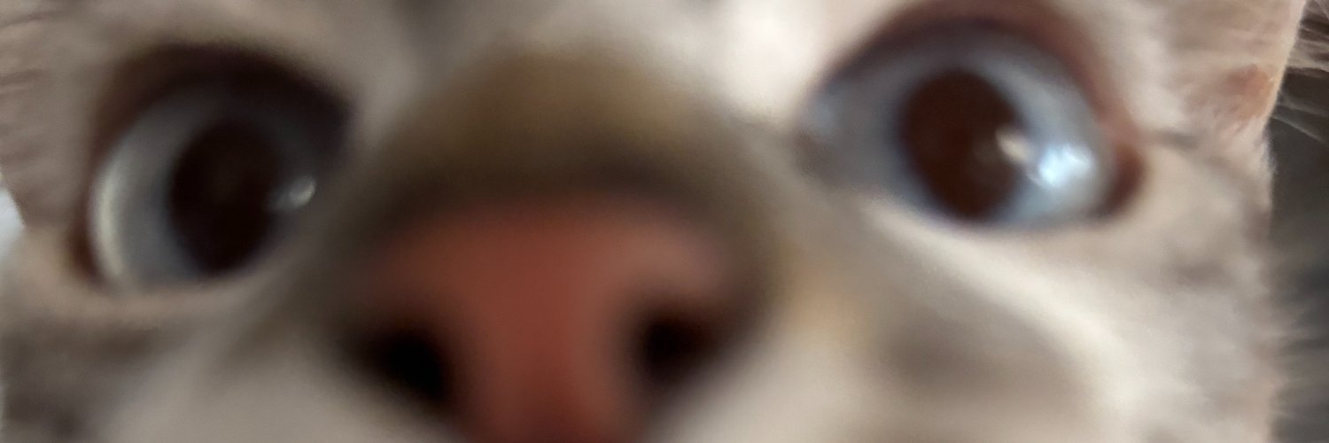 eryspink's profile banner image