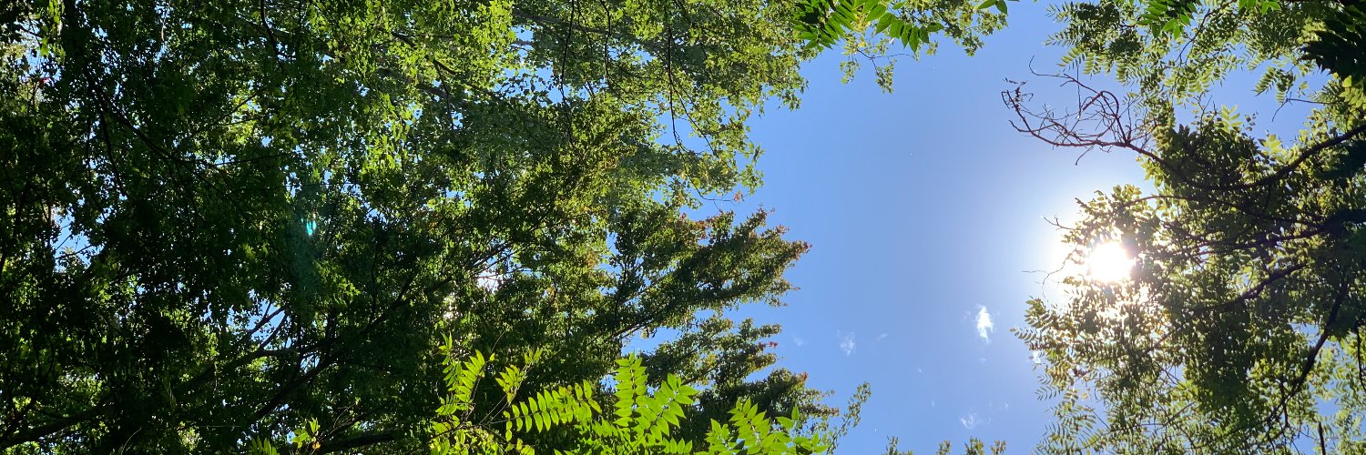 Daylynimari's profile banner image