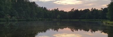 StephenKellogg's profile banner image