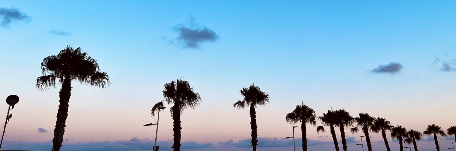 Sandrallull's profile banner image