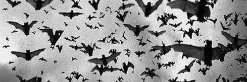 Vampire_Wxtch's profile banner image