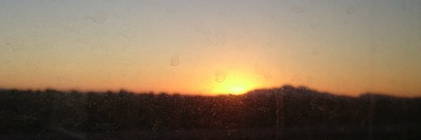 mutedtempest Profile Banner