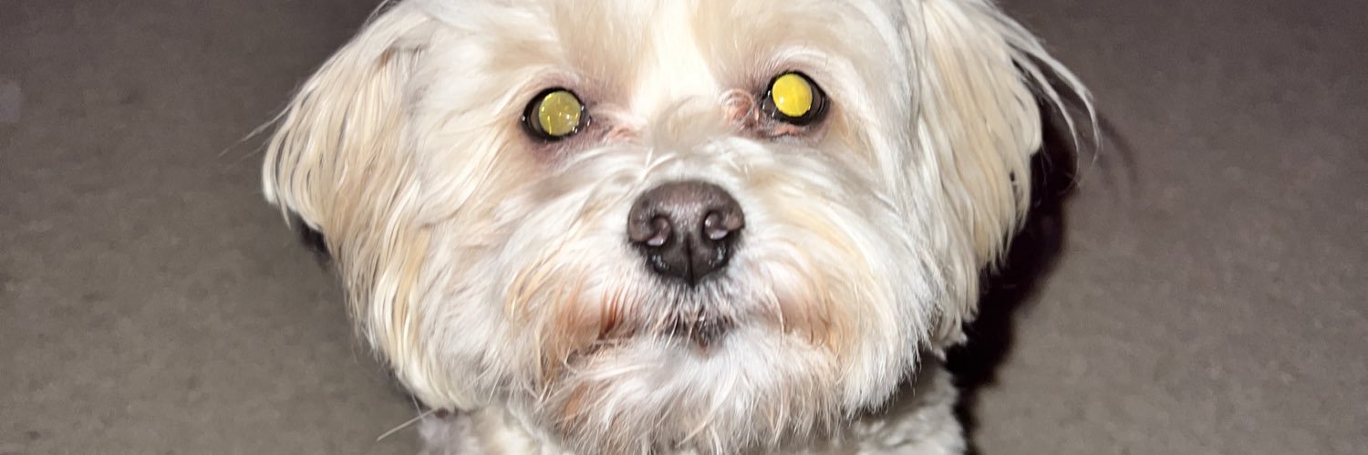 0xTico's profile banner image