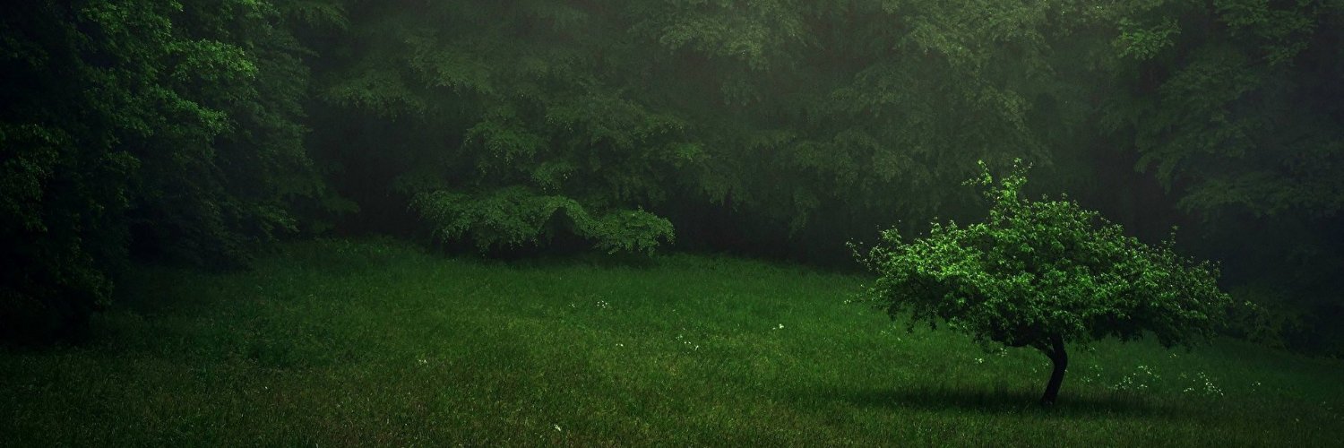 Leandro_Ivan12's profile banner image