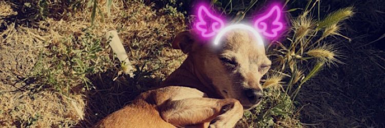 _corcouture's profile banner image
