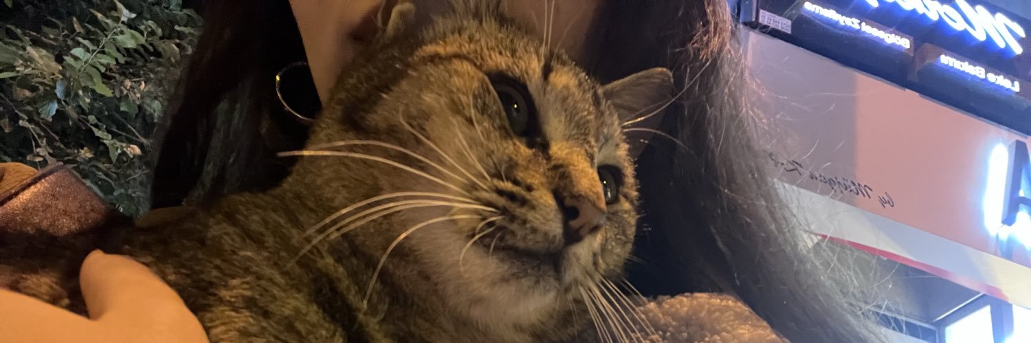 itsbrightinside's profile banner image