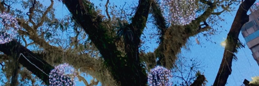 AdrianaluciaW's profile banner image
