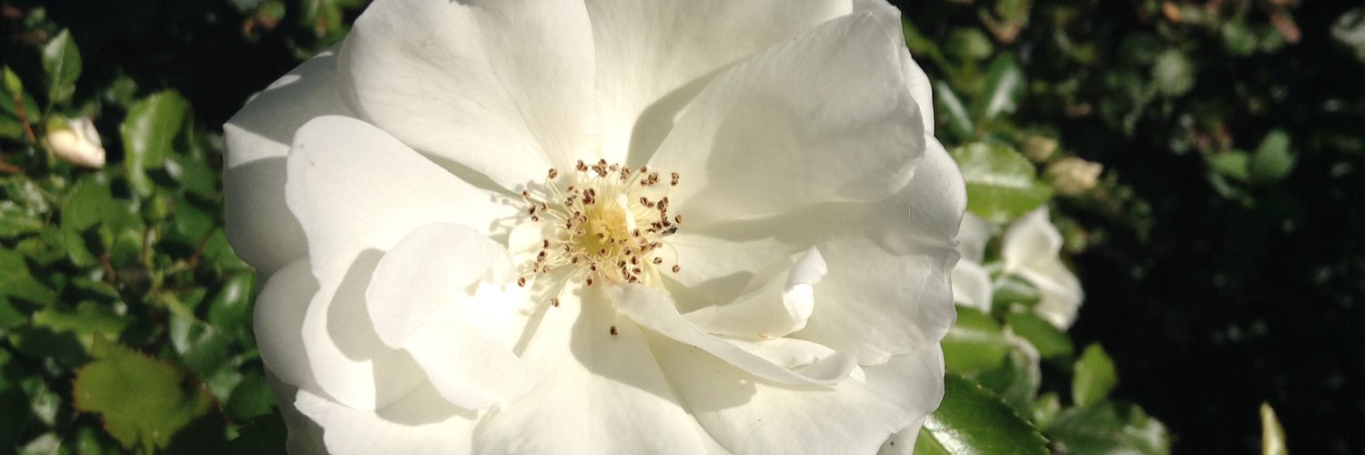 adeigh65's profile banner image