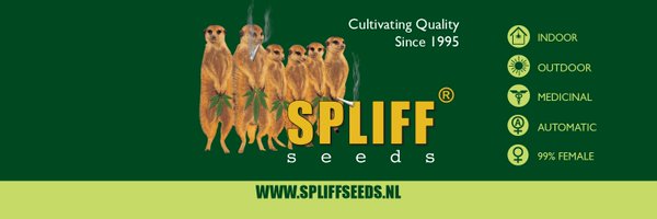 spliffseeds Profile Banner