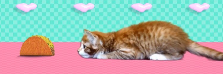 juliaicanteven's profile banner image