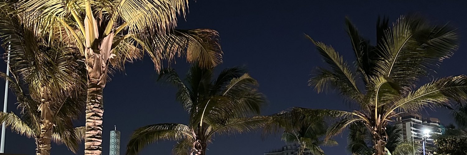 Raid . banner