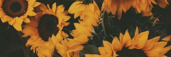 _Melinnaaa Profile Banner