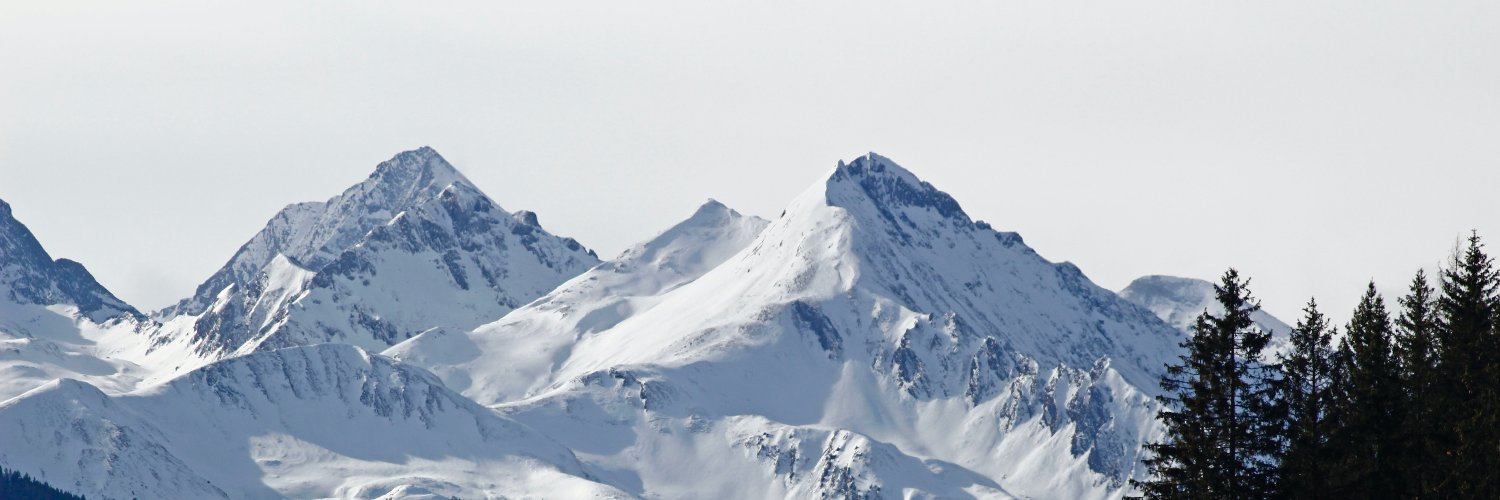 himikebrandt's profile banner image