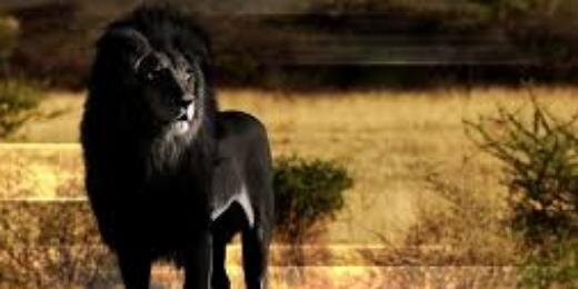Mr_Issh's profile banner image