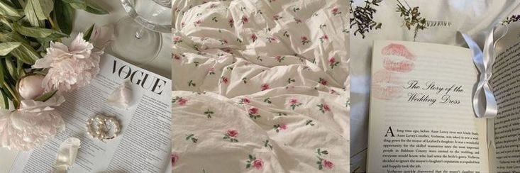 claurient 𐙚 ˚‧｡ ୭ banner