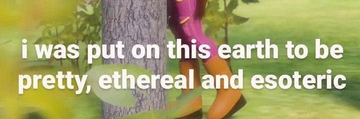 breedablebrat's profile banner image