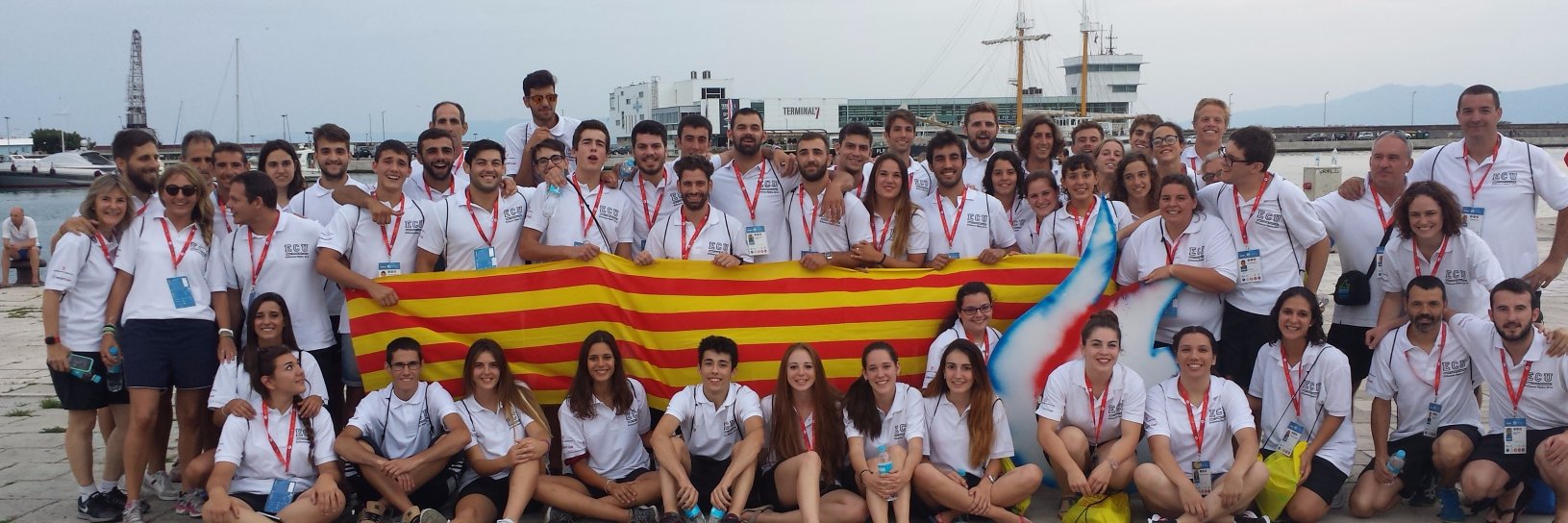 Virgínia Sánchez banner