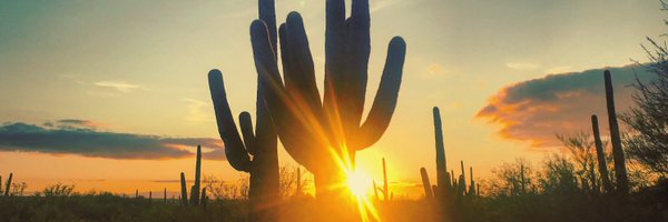 SallyReaMorris Profile Banner