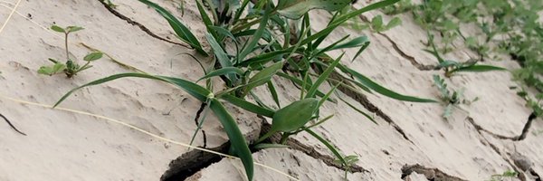 info9990 Profile Banner