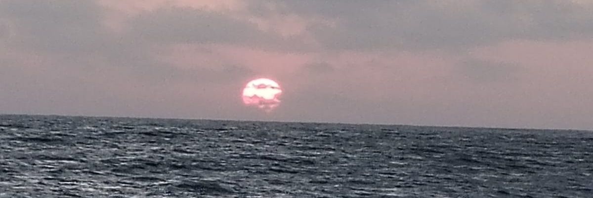 nnath1111's profile banner image