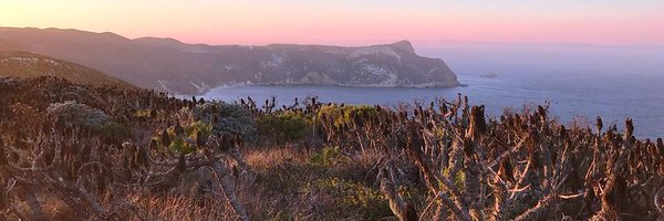 ericgoldman Profile Banner