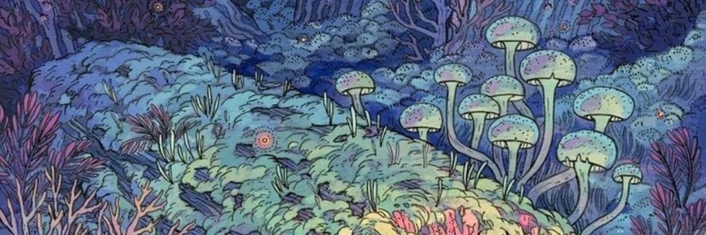TheWitchPrincee's profile banner image