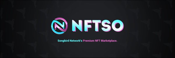 NFTSO Profile Banner