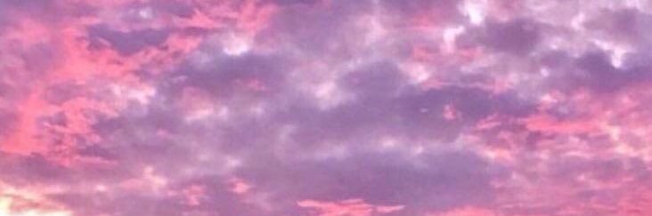 violetnottfound's profile banner image
