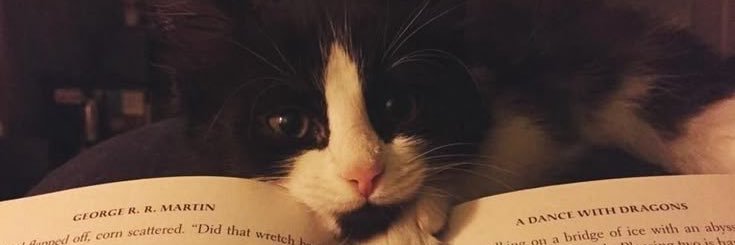 Renad banner