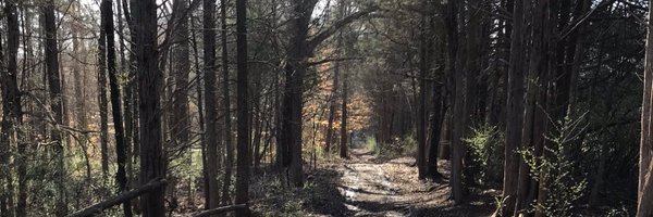 mosscollection Profile Banner