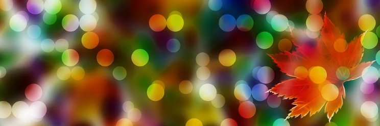 leead8579's profile banner image