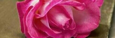 Sa7ar . banner