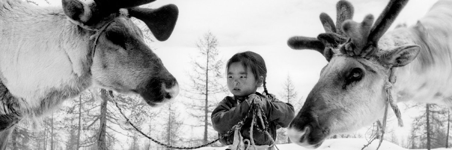madui_'s profile banner image