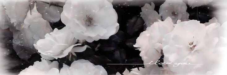 Elidream666's profile banner image