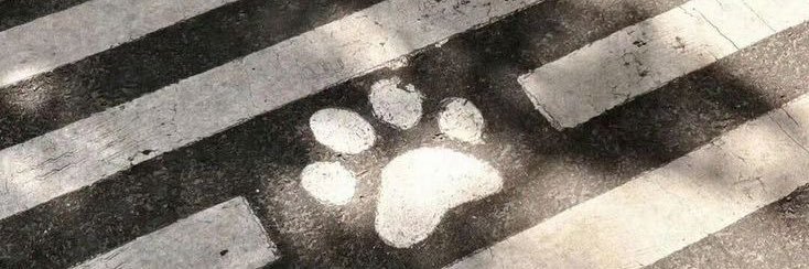 anonymazite's profile banner image