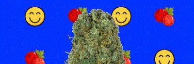 cryptocannabisgrowers.eth banner