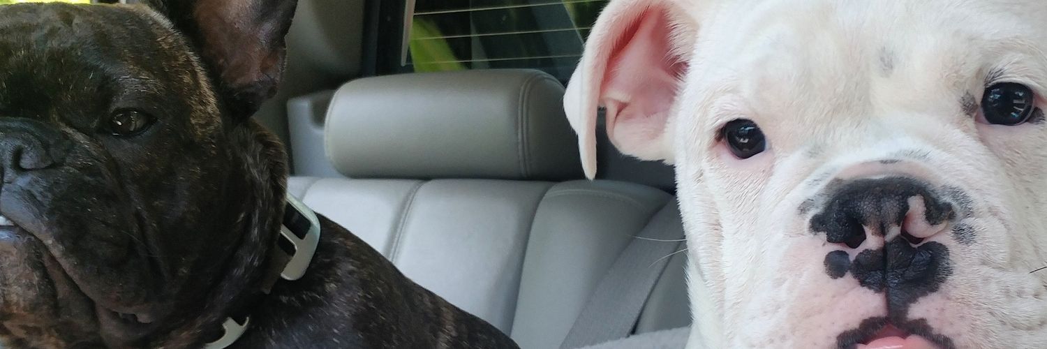 TrippKing's profile banner image