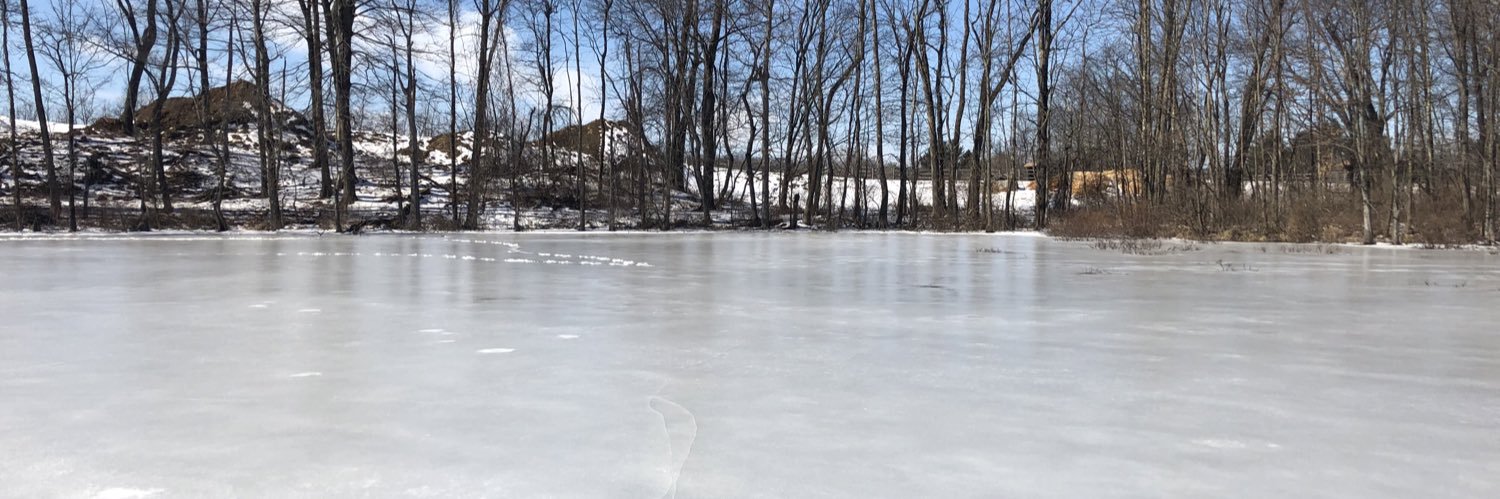 Laura Kornhauser banner